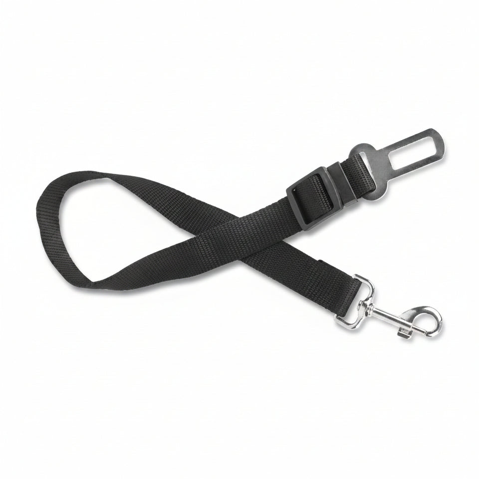 Black dog leash with metal buckle and D-ring on a white background