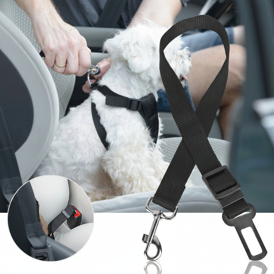Dog safety harness being used in a car with text indicating it's a safety belt.