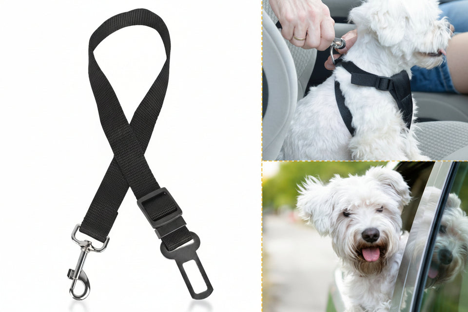 Black pet seat belt with a car seat belt clip, used to secure a dog in a vehicle.