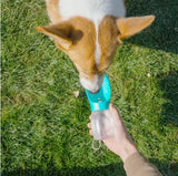 A dog drinking water from a handheld transparent bottle with a bright teal cap outdoors on green grass.