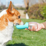 A corgi dog drinking water from a handheld bottle with a bright turquoise spout in an outdoor grassy setting.