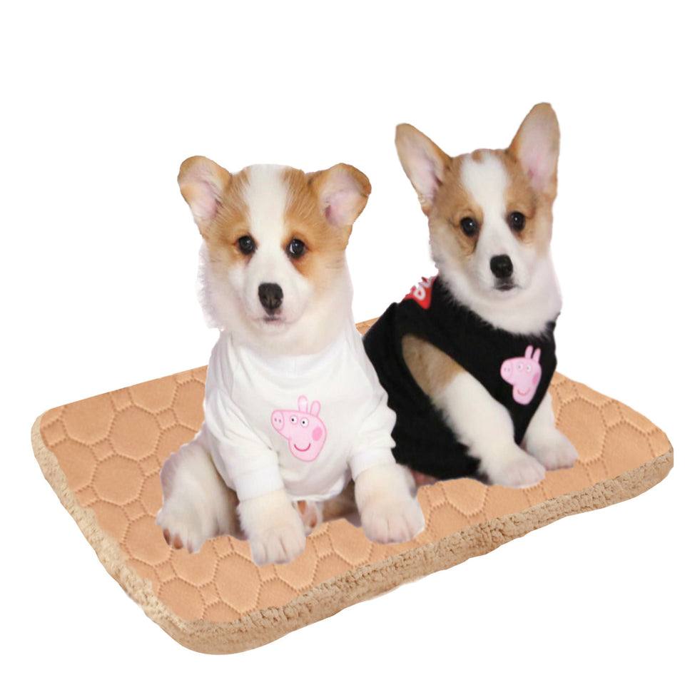 Two corgi puppies wearing sweaters with pink pig designs on a beige mat.