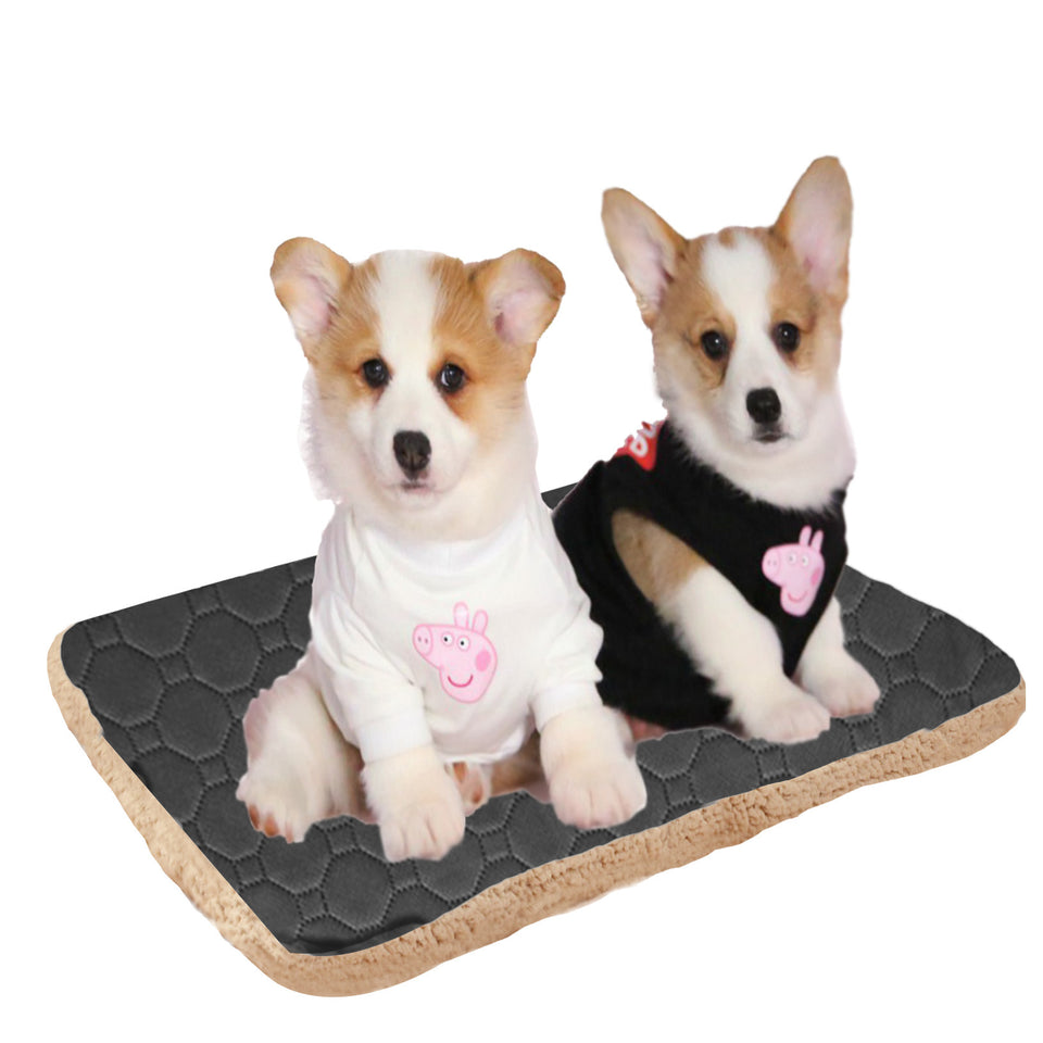 Two corgi figurines wearing shirts on a cookie-shaped stand with a white background