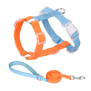Two dog collars and a leash in pink and green on a white background