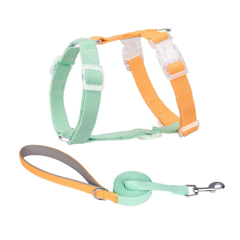 Dog harness and leash set with green and orange design on a white background