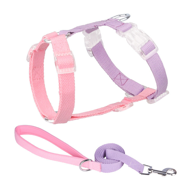Pink and purple dog harness and leash set on a white background