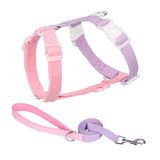 Pink and purple dog harness and leash set on a white background