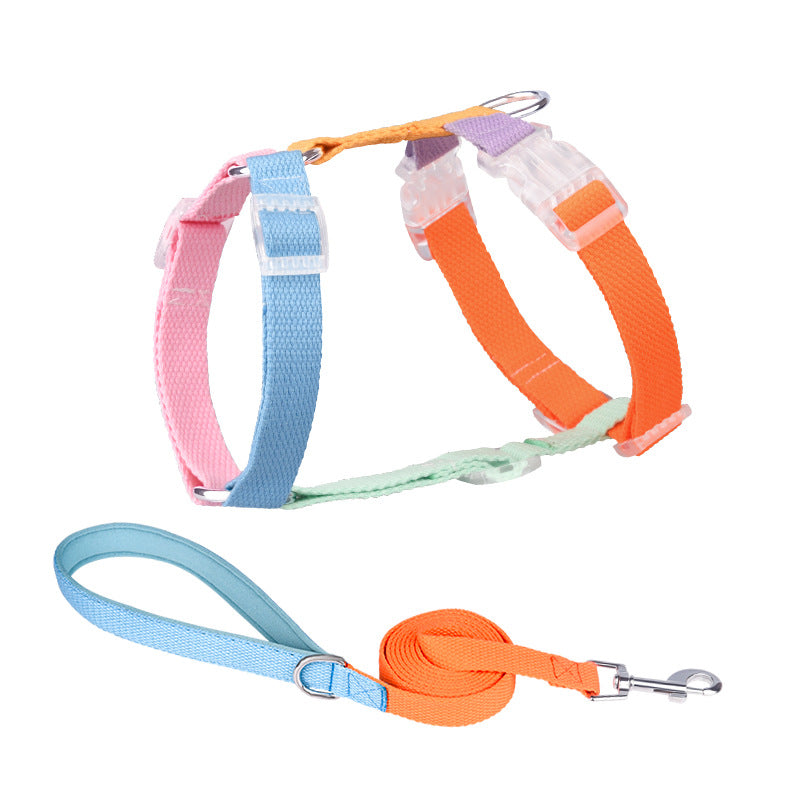 Set of colorful dog collars and leashes on a white background