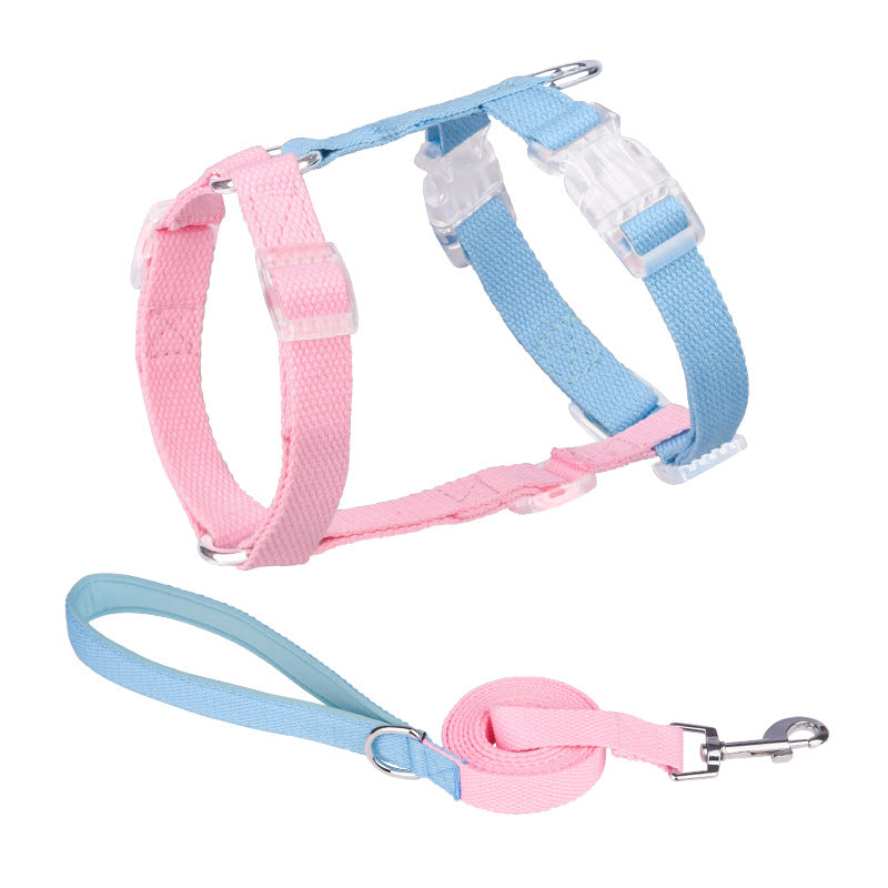 Pink and blue dog harness and leash set on a white background