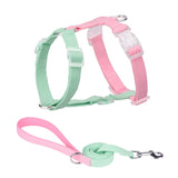 Two dog collars and a leash in pink and green on a white background