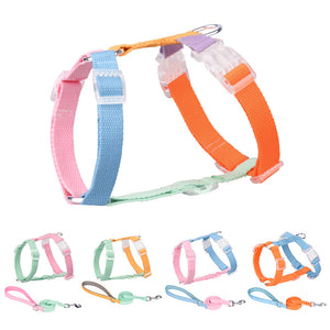 Set of colorful dog collars and leashes on a white background