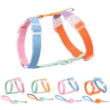 Set of colorful dog collars and leashes on a white background