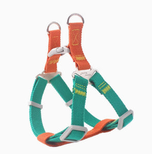 Blue and yellow dog leash on a white background