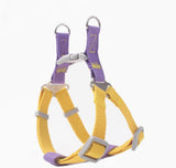 Yellow and purple dog harness with metal buckles on a white background