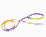 Purple and yellow dog leash on a white background