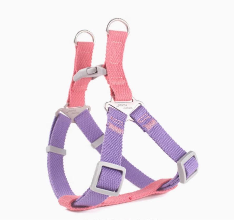 Pink and purple dog harness with metal buckles on a white background