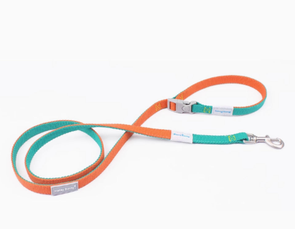 Dog leash with orange and teal pattern on a white background