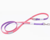 Pink and purple dog leash with a metal clip on a white background