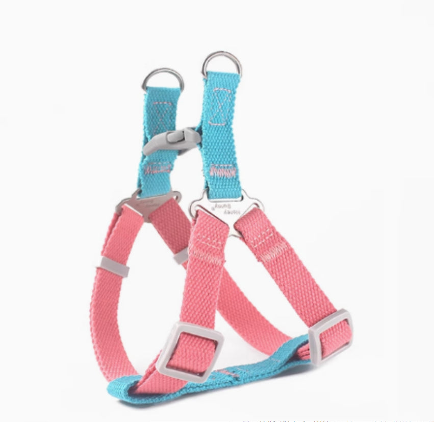 Pink and blue dog harness on a white background