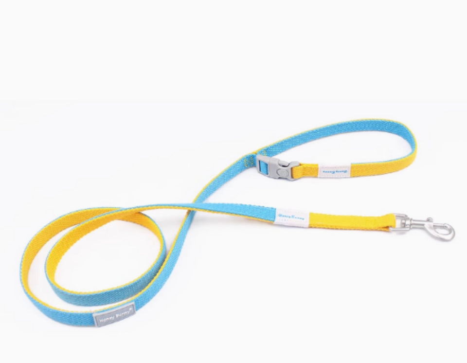 Blue and yellow dog leash on a white background