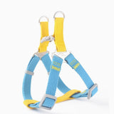 Blue and yellow dog harness on a white background