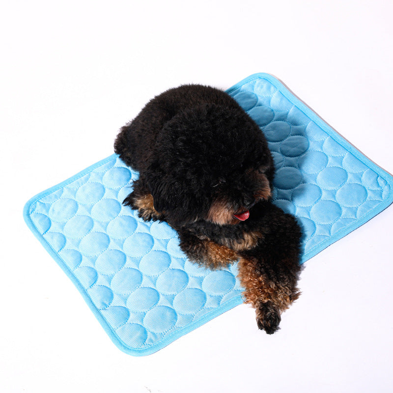Dog lying on a blue cooling mat with a white background