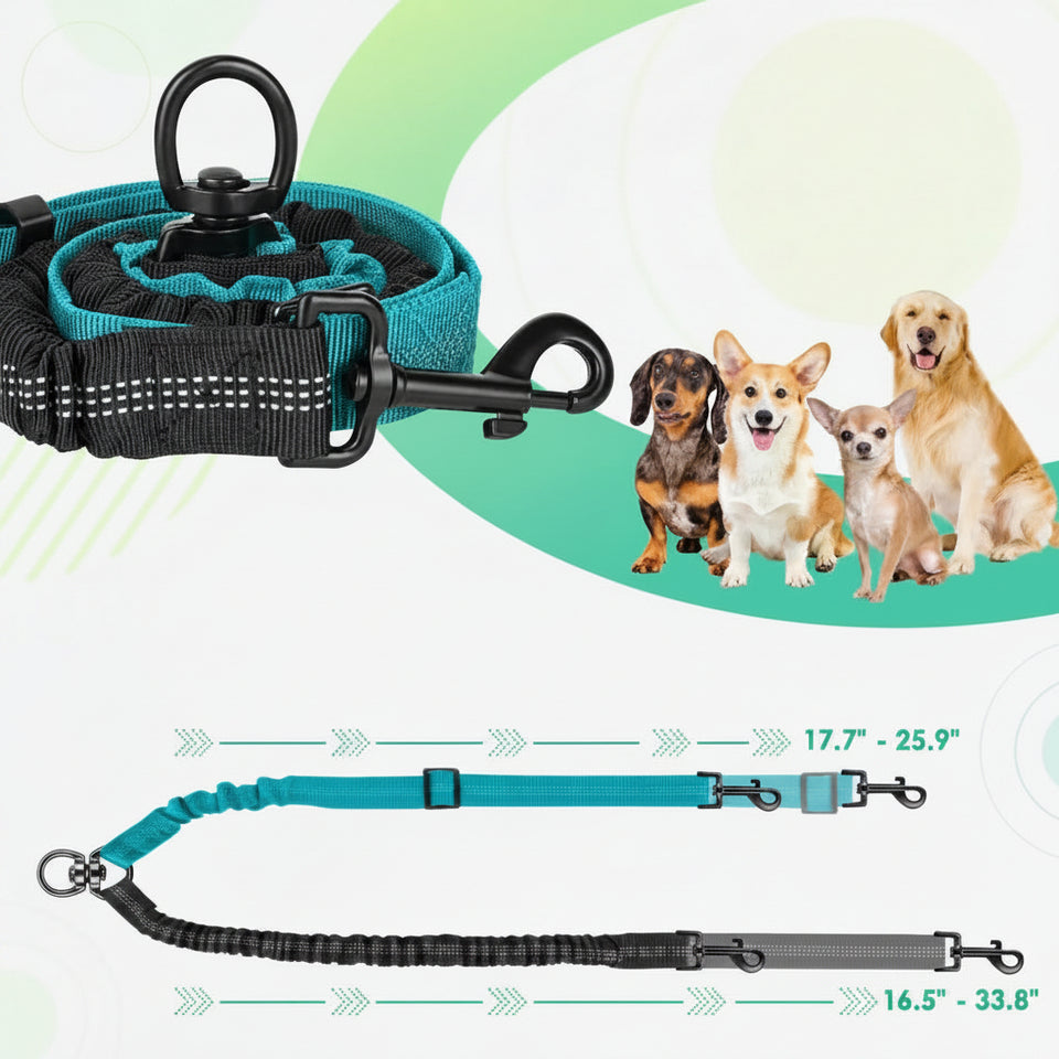 Dog leash with product size information and images of dogs.