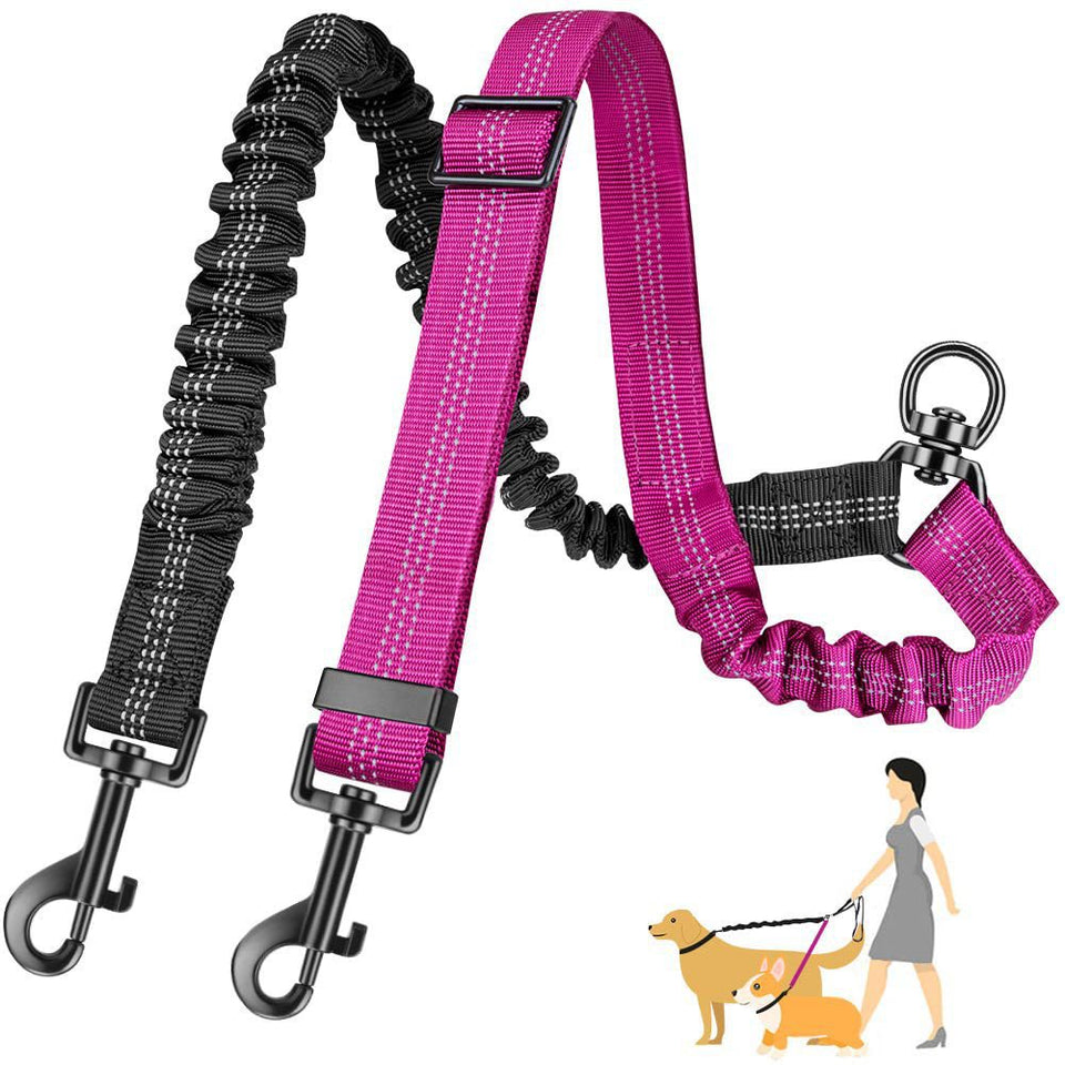 Pink and black dog leash with clip on a white background