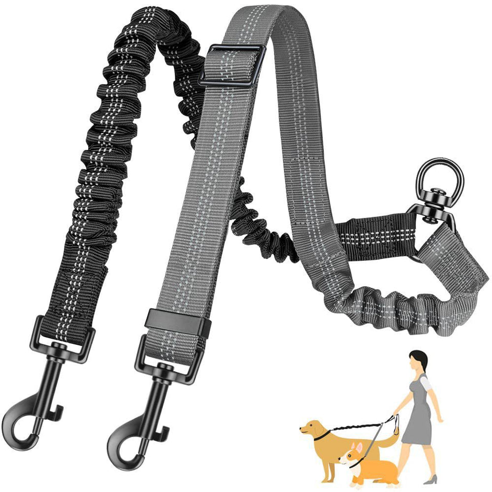 Dog leash with bungee feature on a white background