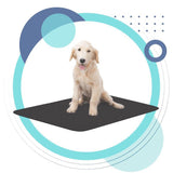 Dog sitting on a black mat with a decorative blue and white circular design in the background