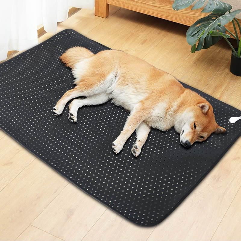 Dog lying on a black mat with white dots in a room with wooden flooring and a plant.