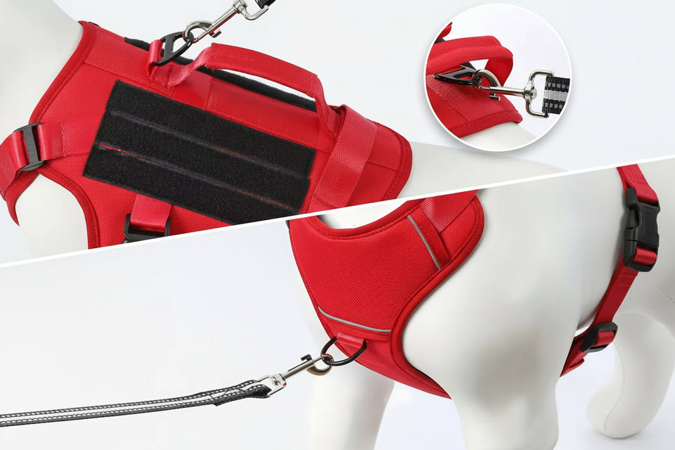 Red dog harness with leash control features on a white background