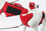 Red dog harness with leash control features on a white background