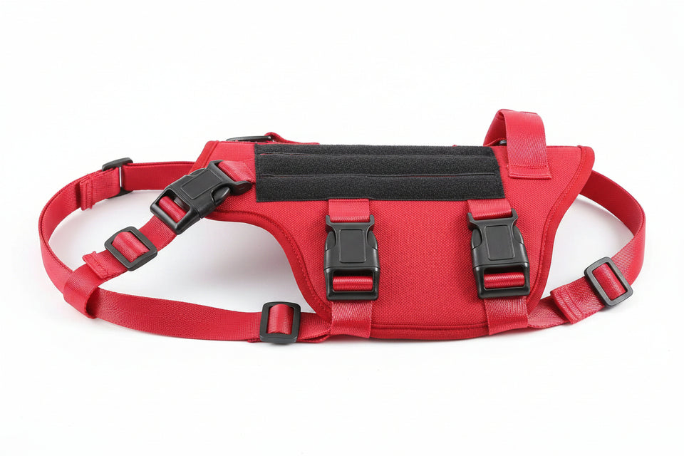 Red dog harness with black metal buckles on a white background