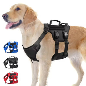 Dog wearing a black harness with additional color options displayed below on a white background