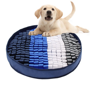 Dog lying on a blue and white striped pet bed with a white background