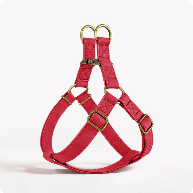 Red dog harness with gold hardware on a white background