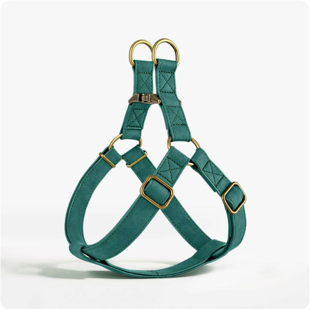 Teal dog harness with gold hardware on a white background