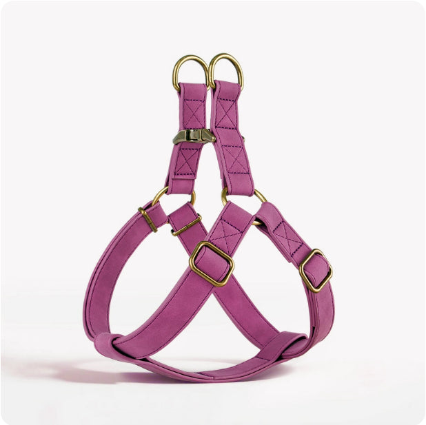 Purple dog harness with gold hardware on a white background