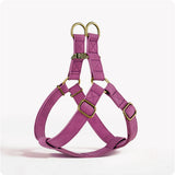 Purple dog harness with gold hardware on a white background