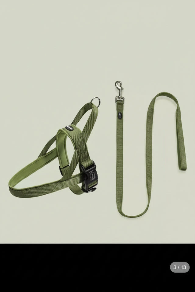 Turquoise green chest harness and leash set on a light gray background