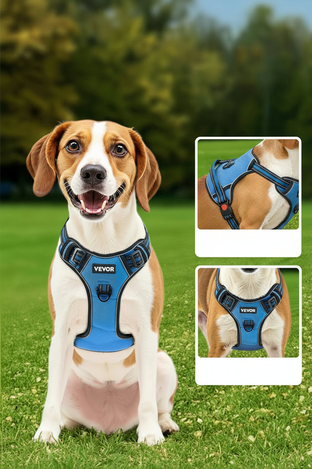 Dog wearing a blue harness with text about comfort and adjustability on a grassy background