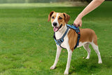 Dog wearing a blue harness with text about close-range protection and control handle on grass.