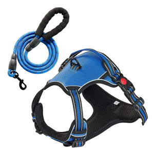 Blue dog harness and leash set on a white background