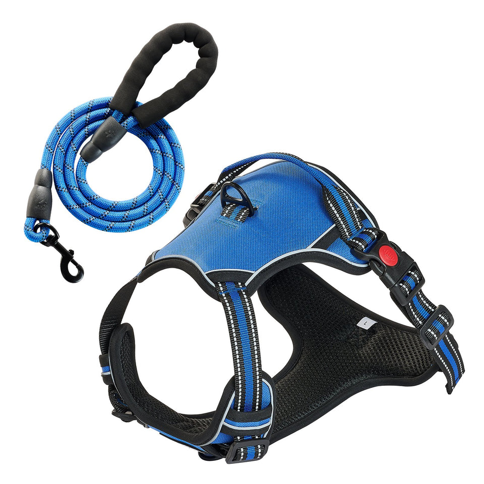 Blue dog harness and leash set on a white background
