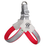 Dog harness with red and gray straps on a white background