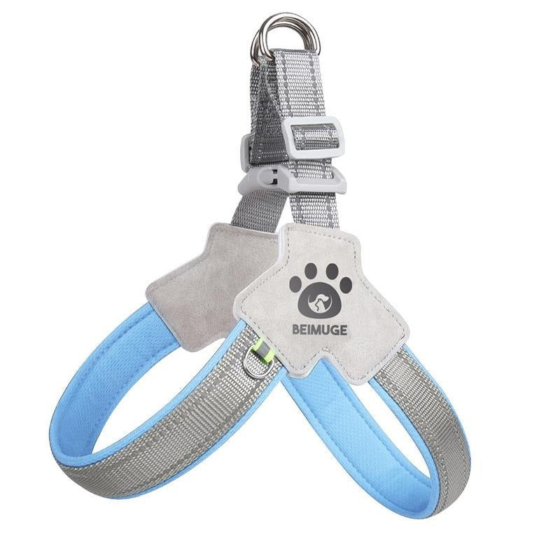 Dog harness with blue and gray straps on a white background