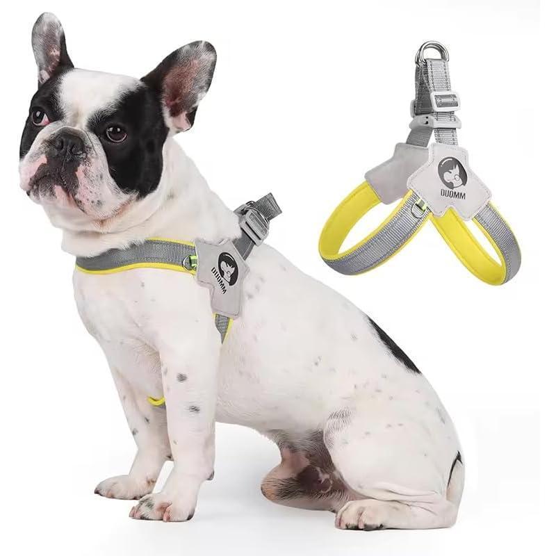Dog wearing a harness and a close-up of the harness on a white background