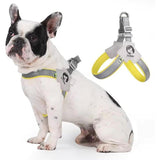 Dog wearing a harness and a close-up of the harness on a white background