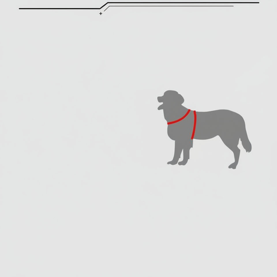 Product parameter chart for Y-shaped chest straps with a dog illustration and size chart.